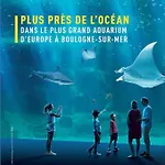 Le Faidherbe : Plein Centre, 4 Pers, Au Calme