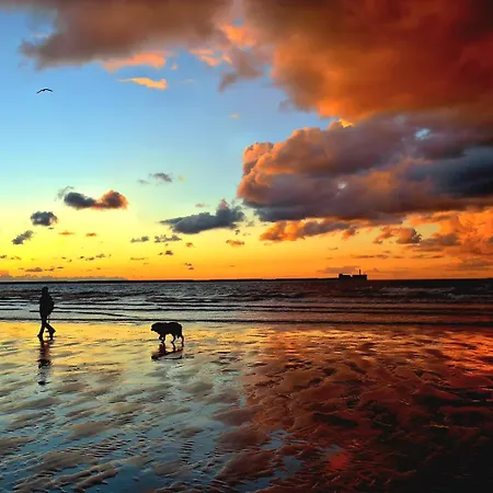 Apartamento Le Faidherbe : Plein Centre, 4 Pers, Au Calme Boulogne-sur-Mer